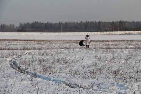 Яблоки на снегу 2016. Дмитров. Фоторассказ измерителя