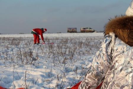Яблоки на снегу 2016. Дмитров. Фоторассказ измерителя