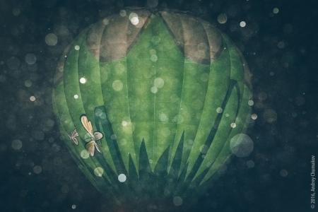 Дневник - отчет о новом рекорде длительности полета среди женщин России