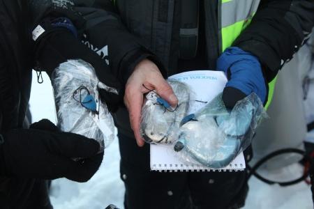 Легко ли стать рекордсменом? День третий. (Неофициальные подробности от официального лица)