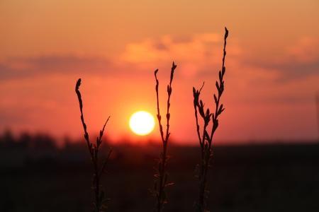 ЧТО - 2016. Старт дан!
