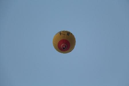 ЧТО - 2016. Старт дан!