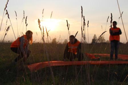 ЧТО - 2016. Старт дан!