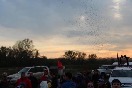 ЧТО - 2016. День второй