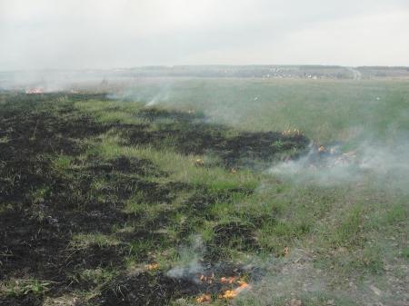 ЧТО - 2016. День второй