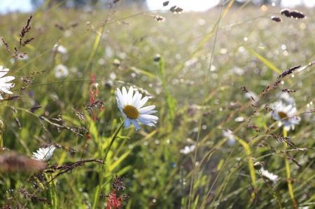 Великие Луки - первый спортивный