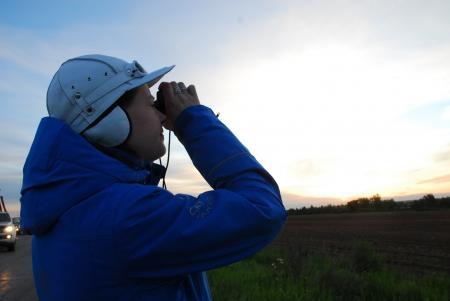 Наши летят! Новости из первых рук члена команды Ромашки. 10 июня