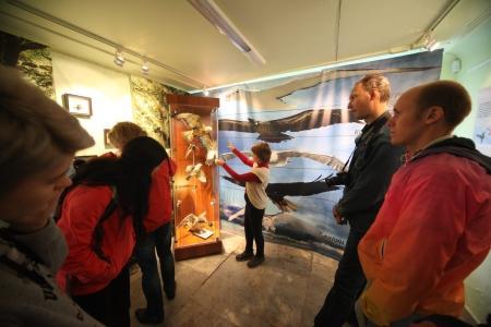 Небесная ярмарка-2016. Воздухоплаватели испекли пряники