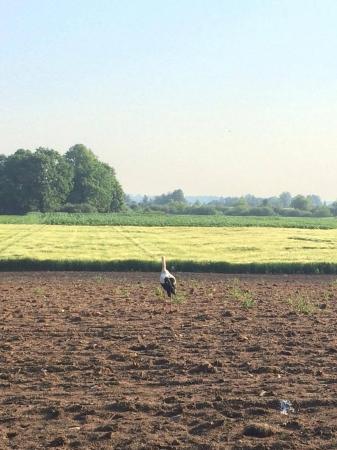 15,19,36! Чемпионат мира по воздухоплавательному спорту среди молодежи подошел к завершению