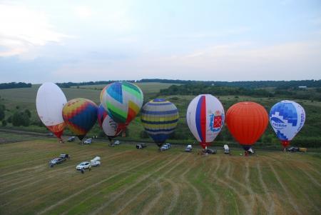 ЦФО. В погоне за белгородским кроликом.