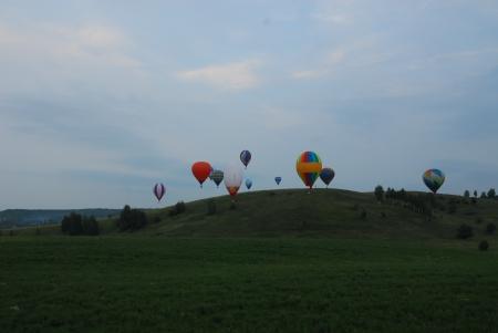 ЦФО. В погоне за белгородским кроликом.