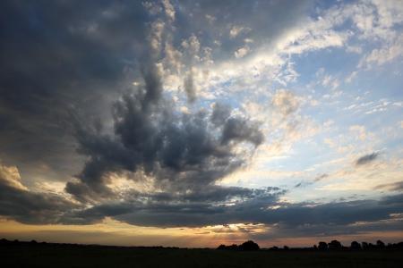 Рязань: четвёртый спортивный