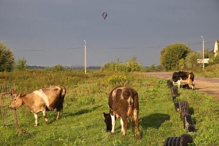 Четвёртый спортивный глазами Н.Рябцева