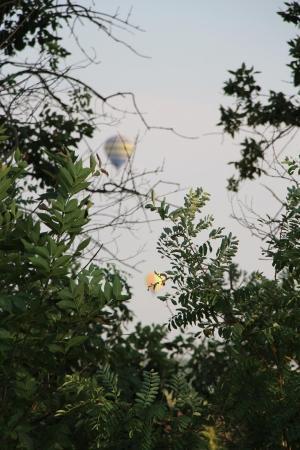 "Небесная Регата 2016". Есть первый спортивный!