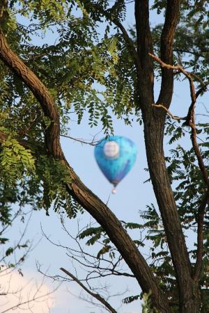 "Небесная Регата 2016". Есть первый спортивный!