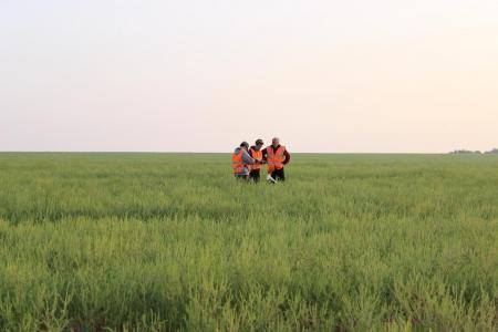 "Небесная Регата 2016". Пятый спортивный