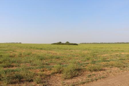 "Небесная Регата 2016". Пятый спортивный