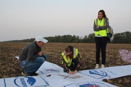 "Небесная Регата 2016". Пятый спортивный