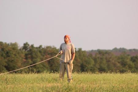 "Небесная Регата 2016". Финальный спортивный полёт