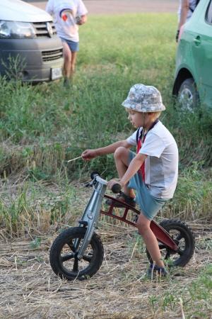 "Небесная Регата 2016". Финальный спортивный полёт