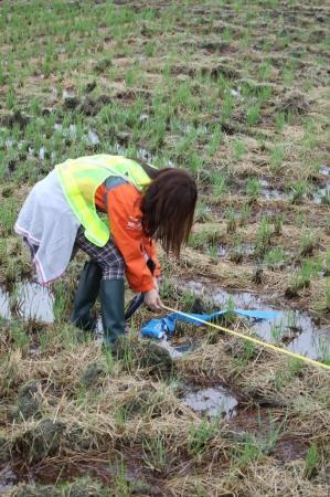 22-й Чемпионат мира по воздухоплавательному спорту. Фоторепортаж Николая Рябцева