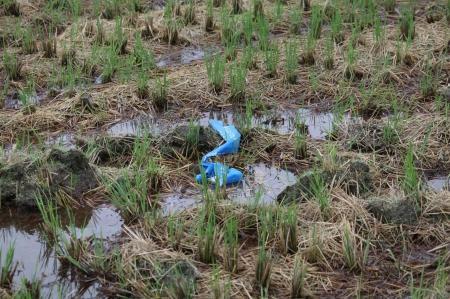 22-й Чемпионат мира по воздухоплавательному спорту. Фоторепортаж Николая Рябцева