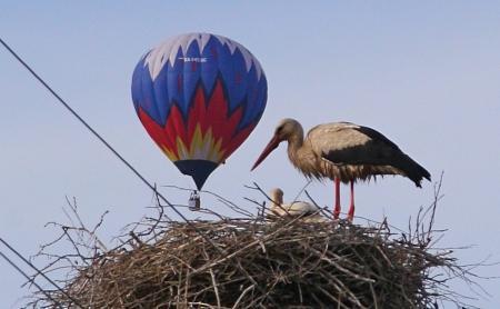 Великие Луки: фотозарисовки Николая Рябцева