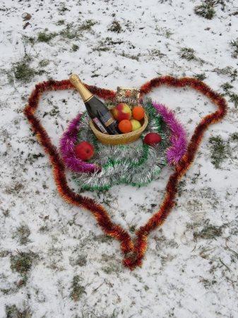 "Яблоки на снегу" в Великих Луках