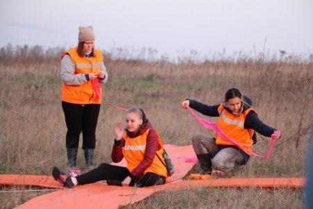 ЧТО - 2018. Быстро. Весело. Мимо.