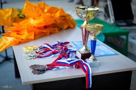 Подведены итоги фестиваля "Воздушное Братство" 2018