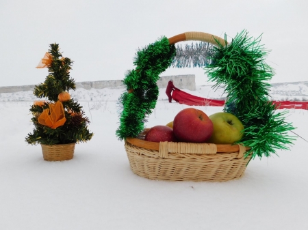 "Яблоки на снегу" в Крыму у Белой скалы