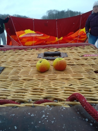 "Яблоки на снегу" 2020. Тула