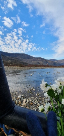Мандарины на Камнях, сочинская версия Яблок на Снегу