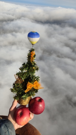 Крымские "Яблоки на снегу" 2022