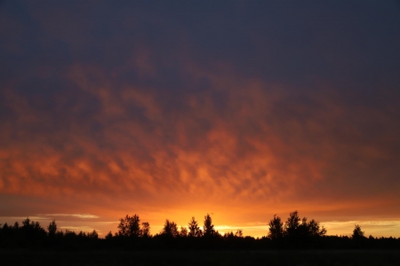 Великие Луки 2022. За отменой отмена