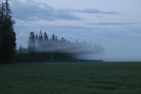 Чемпионат Ленинградской области по воздухоплавательному спорту. Второй  спортивный полет