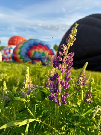 НЕБЕСНАЯ ФЕЕРИЯ  В СЕМЕНОВСКИХ ЛЕСАХ