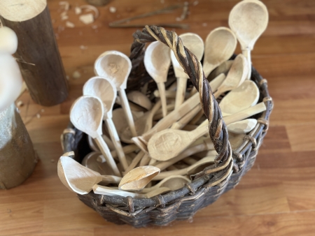 День культурного пилота