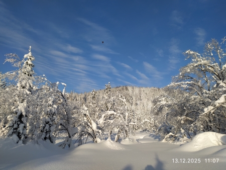 Фото с приюта Глухаринный