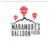 Maramures Balloon Fiesta