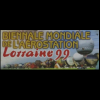 VI Lorraine Mondial Air Ballons